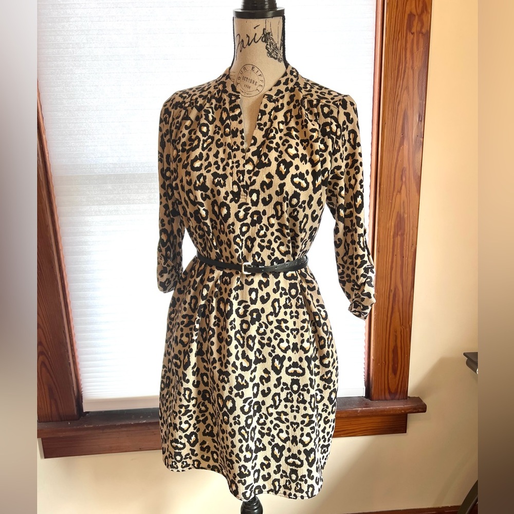 Animal Print Shirt Dress